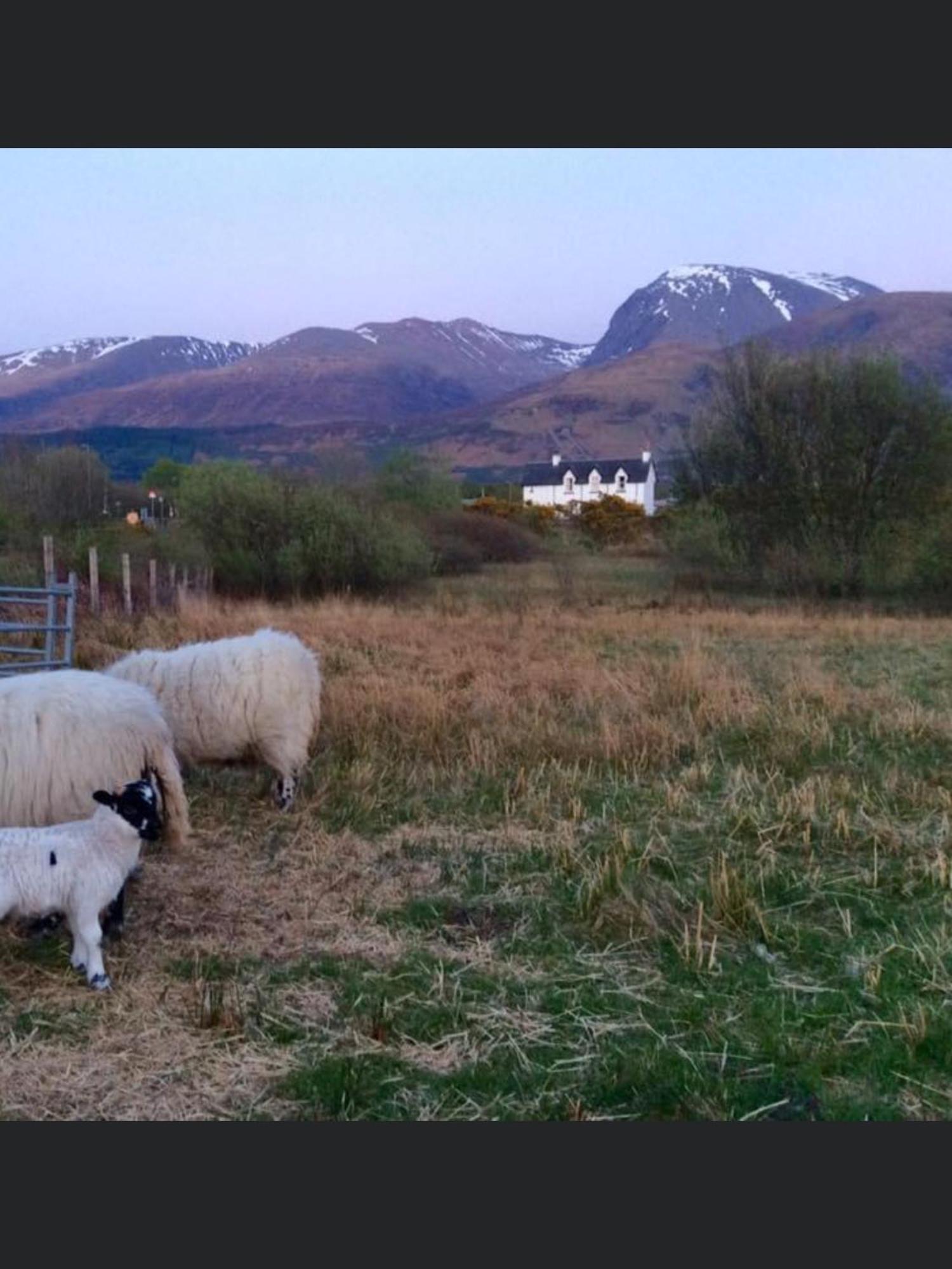 The Shielings By Inverlochy Villas Fort William Eksteriør bilde